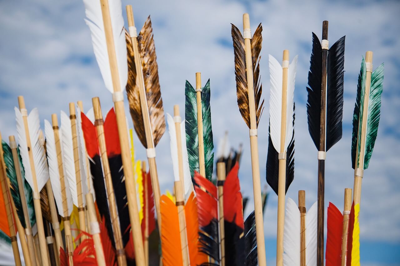 Choosing The Perfect Vanes For Your Arrows: A Complete Guide